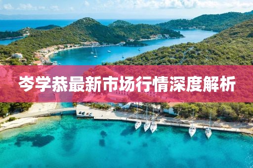 岑學(xué)恭最新市場行情深度解析