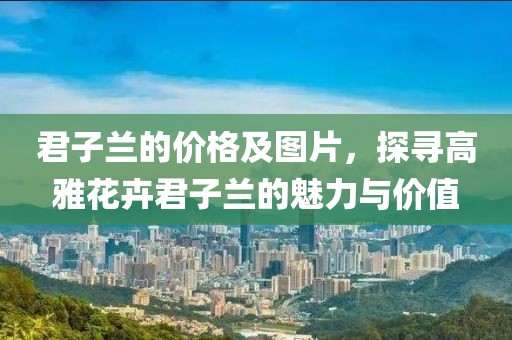 君子蘭的價(jià)格及圖片，探尋高雅花卉君子蘭的魅力與價(jià)值
