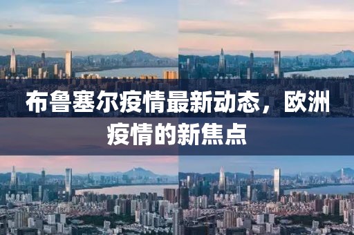 布魯塞爾疫情最新動態(tài)，歐洲疫情的新焦點
