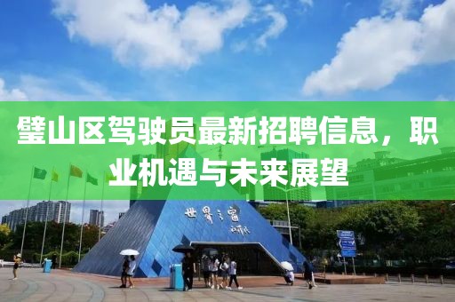 璧山區(qū)駕駛員最新招聘信息，職業(yè)機遇與未來展望