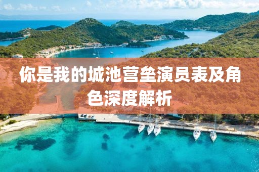 你是我的城池營(yíng)壘演員表及角色深度解析