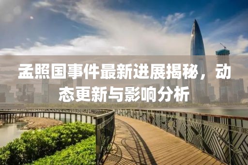 孟照國事件最新進展揭秘，動態(tài)更新與影響分析