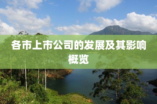 各市上市公司的發(fā)展及其影響概覽