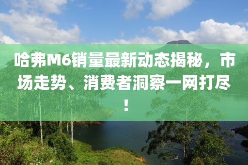 哈弗M6銷(xiāo)量最新動(dòng)態(tài)揭秘，市場(chǎng)走勢(shì)、消費(fèi)者洞察一網(wǎng)打盡！