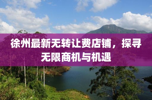 徐州最新無轉(zhuǎn)讓費(fèi)店鋪，探尋無限商機(jī)與機(jī)遇