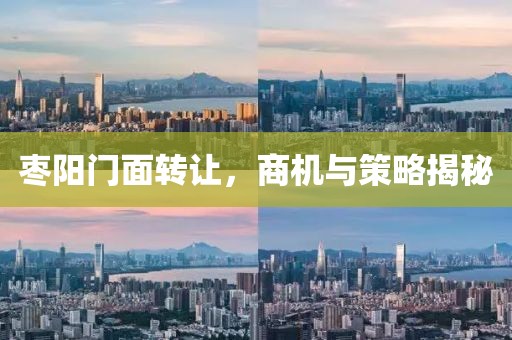 棗陽門面轉(zhuǎn)讓，商機與策略揭秘