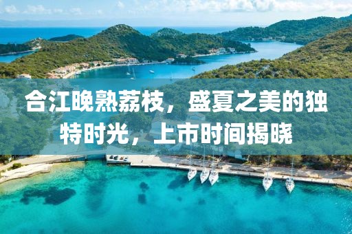 合江晚熟荔枝，盛夏之美的獨(dú)特時光，上市時間揭曉