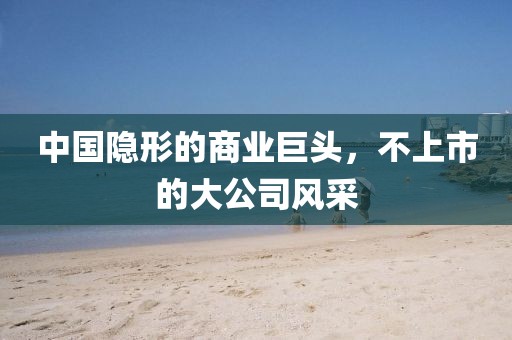 中國(guó)隱形的商業(yè)巨頭，不上市的大公司風(fēng)采