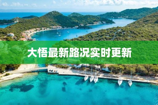 大悟最新路況實時更新