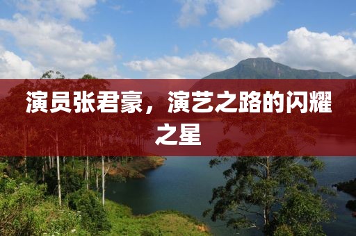 演員張君豪，演藝之路的閃耀之星