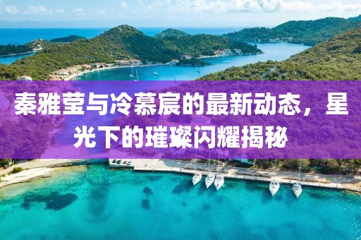 秦雅瑩與冷慕宸的最新動態(tài)，星光下的璀璨閃耀揭秘