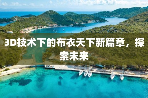 3D技術(shù)下的布衣天下新篇章，探索未來