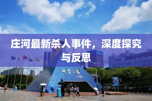 莊河最新殺人事件，深度探究與反思