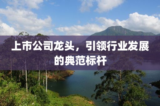 上市公司龍頭，引領(lǐng)行業(yè)發(fā)展的典范標(biāo)桿