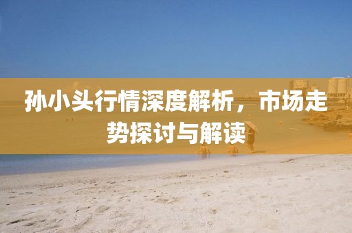 孫小頭行情深度解析，市場走勢探討與解讀