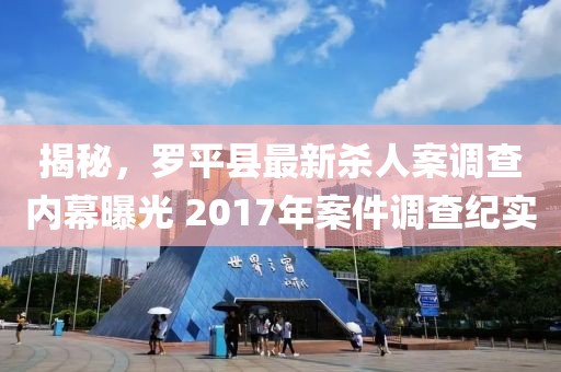 揭秘，羅平縣最新殺人案調(diào)查內(nèi)幕曝光 2017年案件調(diào)查紀(jì)實(shí)