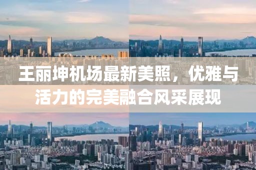 王麗坤機場最新美照，優(yōu)雅與活力的完美融合風采展現(xiàn)
