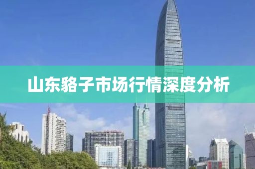 山東貉子市場行情深度分析