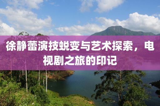 徐靜蕾演技蛻變與藝術探索，電視劇之旅的印記