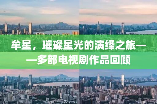 牟星，璀璨星光的演繹之旅——多部電視劇作品回顧