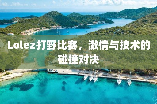 Lolez打野比賽，激情與技術(shù)的碰撞對決
