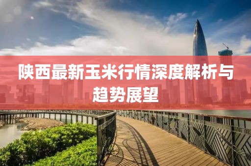 陜西最新玉米行情深度解析與趨勢展望