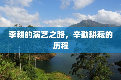李耕的演藝之路，辛勤耕耘的歷程