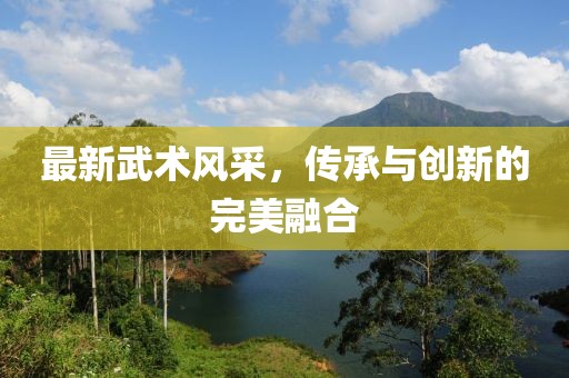 最新武術(shù)風采，傳承與創(chuàng)新的完美融合