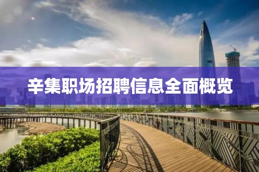辛集職場招聘信息全面概覽