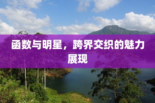函數(shù)與明星，跨界交織的魅力展現(xiàn)