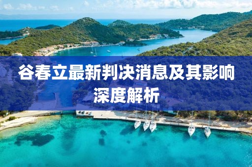 谷春立最新判決消息及其影響深度解析