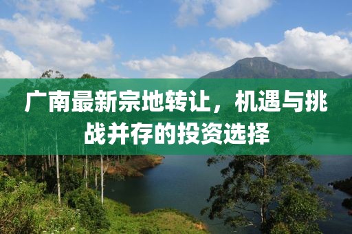 廣南最新宗地轉(zhuǎn)讓，機(jī)遇與挑戰(zhàn)并存的投資選擇