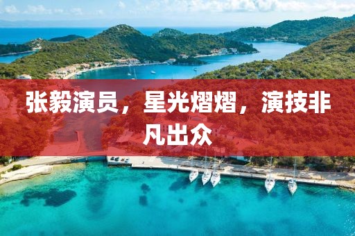 張毅演員，星光熠熠，演技非凡出眾