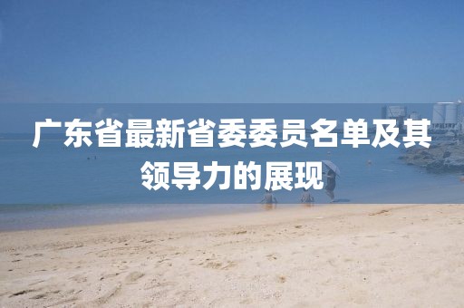 廣東省最新省委委員名單及其領(lǐng)導(dǎo)力的展現(xiàn)