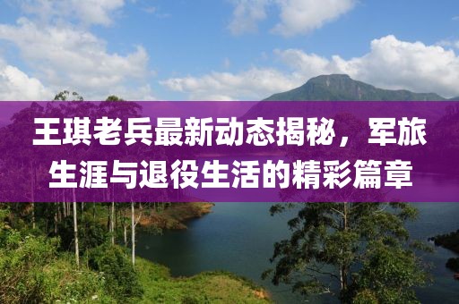 王琪老兵最新動態(tài)揭秘，軍旅生涯與退役生活的精彩篇章
