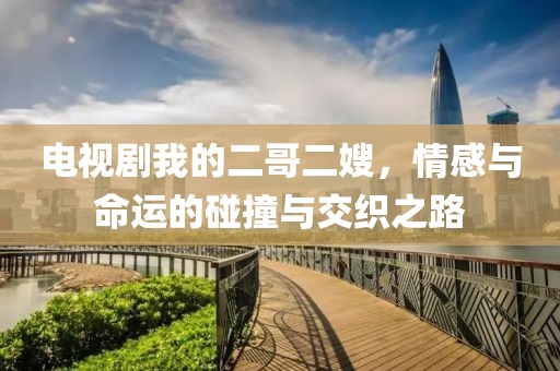 電視劇我的二哥二嫂，情感與命運(yùn)的碰撞與交織之路