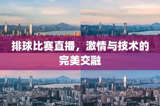排球比賽直播，激情與技術(shù)的完美交融