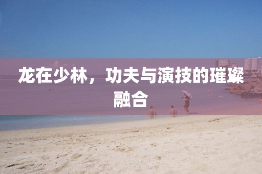 龍?jiān)谏倭?，功夫與演技的璀璨融合