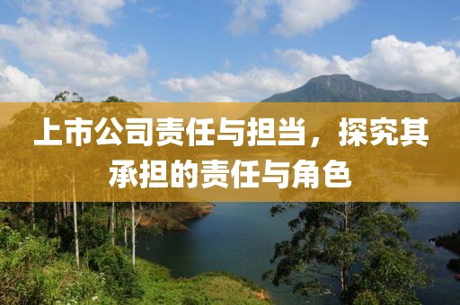上市公司責(zé)任與擔(dān)當(dāng)，探究其承擔(dān)的責(zé)任與角色