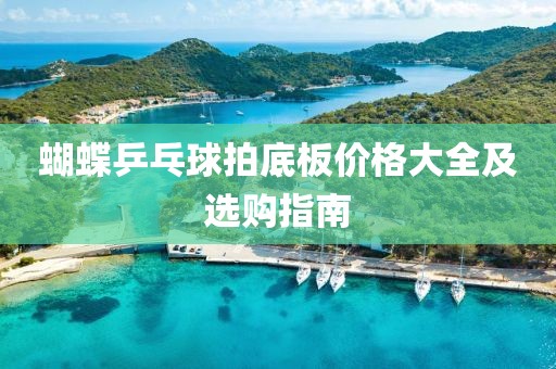 蝴蝶乒乓球拍底板價(jià)格大全及選購(gòu)指南