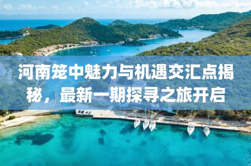 河南籠中魅力與機(jī)遇交匯點(diǎn)揭秘，最新一期探尋之旅開(kāi)啟