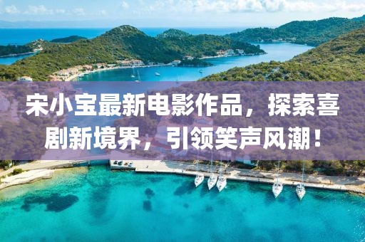 宋小寶最新電影作品，探索喜劇新境界，引領(lǐng)笑聲風(fēng)潮！