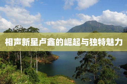 相聲新星盧鑫的崛起與獨特魅力