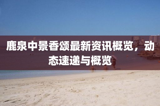 鹿泉中景香頌最新資訊概覽，動態(tài)速遞與概覽