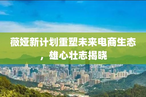 薇婭新計(jì)劃重塑未來電商生態(tài)，雄心壯志揭曉