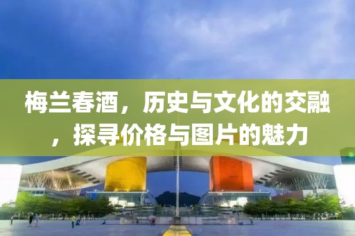 梅蘭春酒，歷史與文化的交融，探尋價(jià)格與圖片的魅力