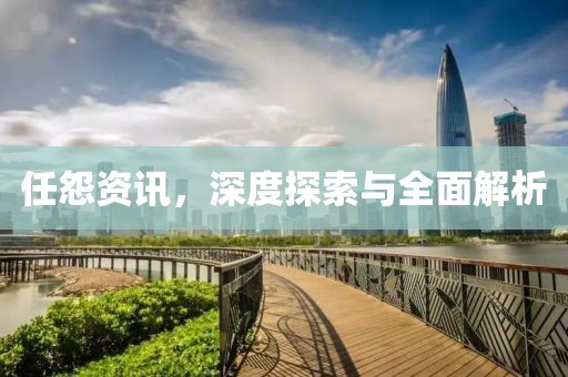 任怨資訊，深度探索與全面解析