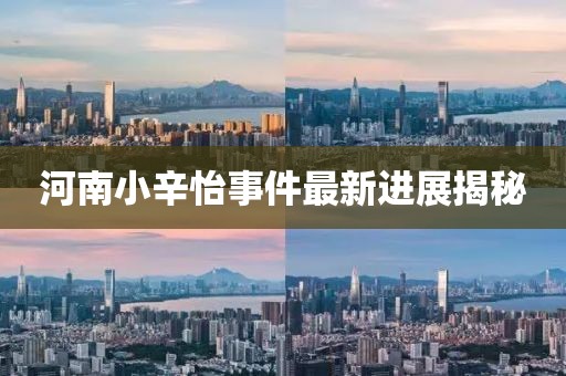 河南小辛怡事件最新進展揭秘