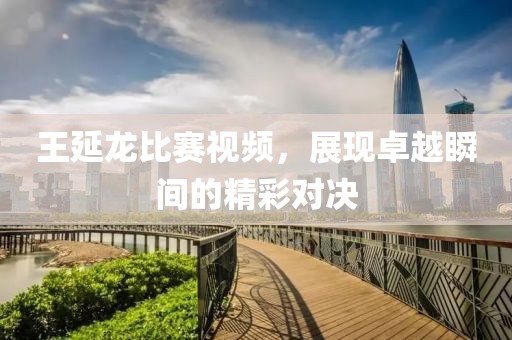 王延龍比賽視頻，展現(xiàn)卓越瞬間的精彩對決