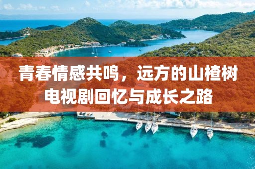 青春情感共鳴，遠方的山楂樹電視劇回憶與成長之路
